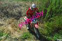 MOTO (146)